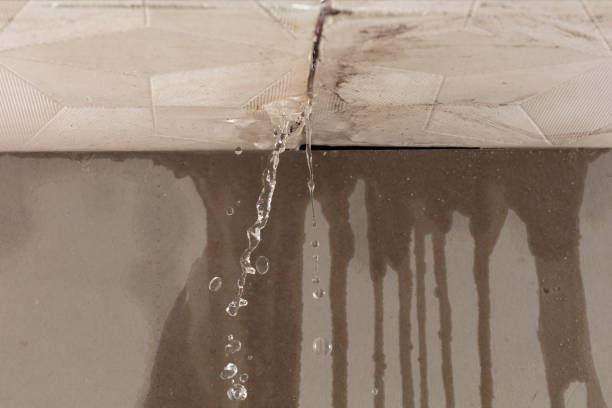 Professional Water Damage Repair technician working in West Chesterfield, MA